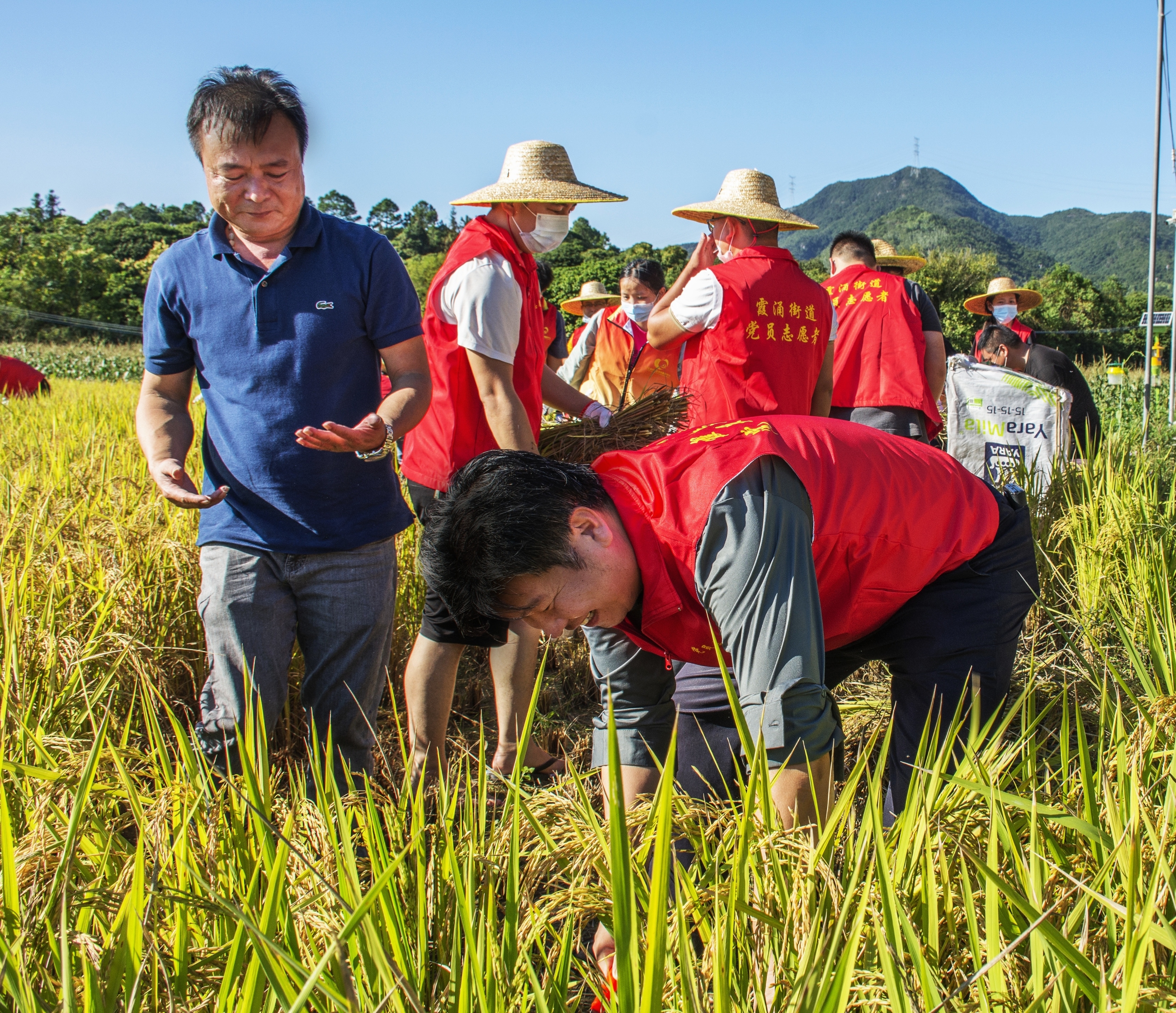 惠州市司法局以法治之力護(hù)航百縣千鎮(zhèn)萬村高質(zhì)量發(fā)展工程